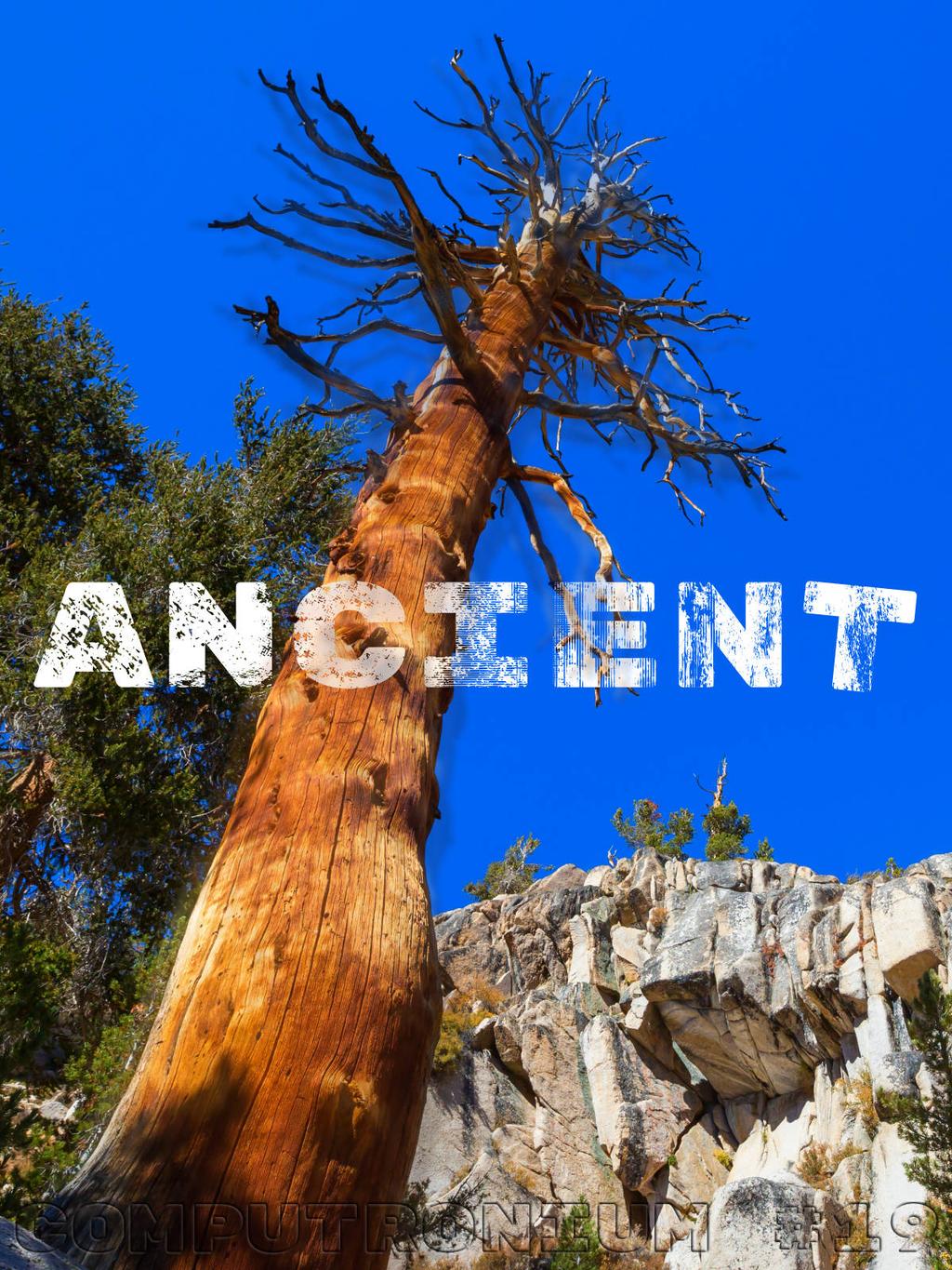 ANCIENT (#19) cover image
